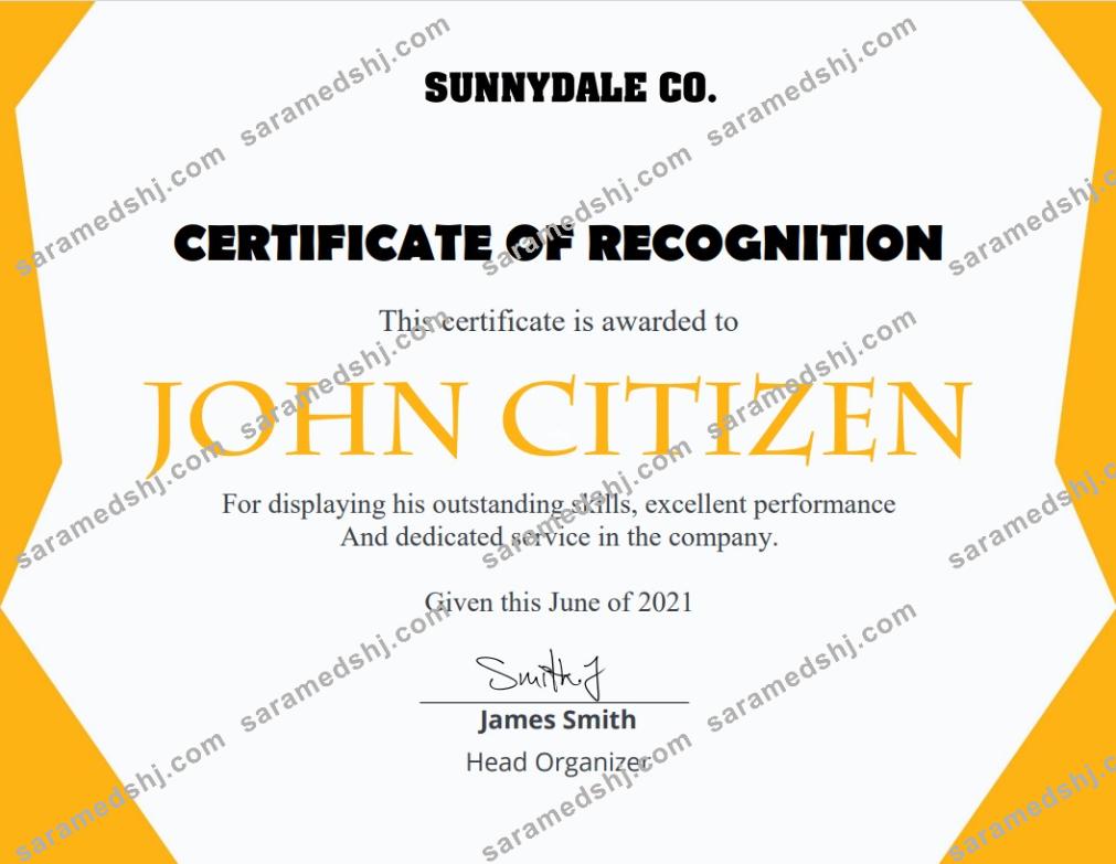 USA Recognition Certificate